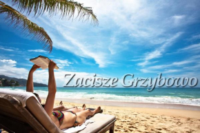 Zacisze Grzybowo in Grzybowo